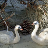Swan Ornaments